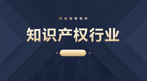 東莞知識(shí)產(chǎn)權(quán)行業(yè)網(wǎng)絡(luò)營(yíng)銷案例 以差異化創(chuàng)新定位驅(qū)動(dòng)科技中介服務(wù)